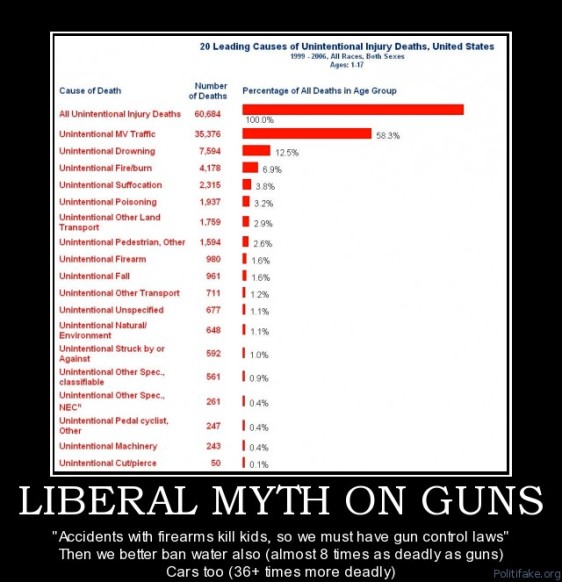 liberal-myth-on-guns-anti-gun-argument-fails-political-poster-1287551753