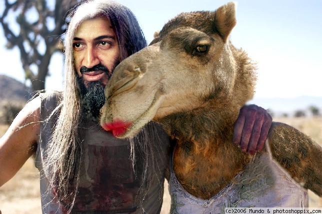 [Image: laden_and_camel.jpg?w=644&h=428]