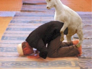 muslim-attack-goat