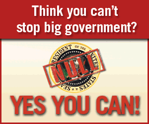 nullification-yes-you-can