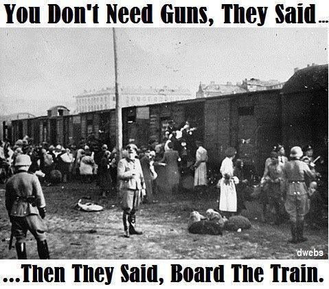 gun-control-holocaust