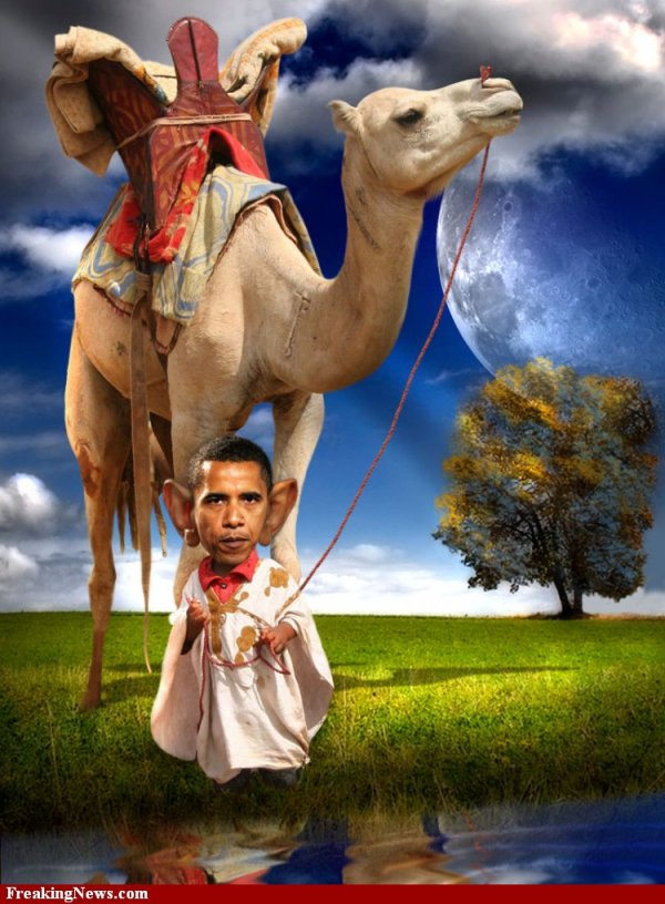 Barack-Obama-with-Camel--54908