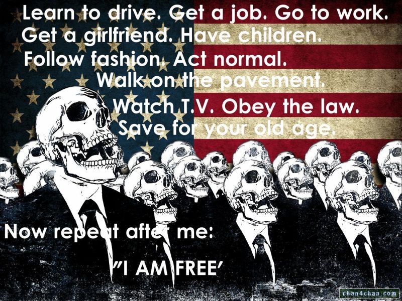 i-am-free-skulls-flag-america-drive-job-work-girlfriend-children-fashion-normal-pavement-tv-obey-law-save-repeat-after-me.jpg