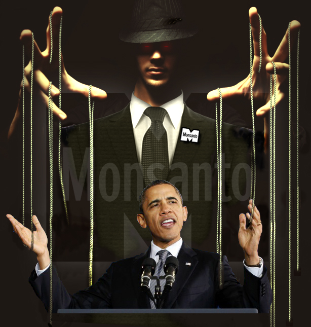 Obama puppet monsanto gmo