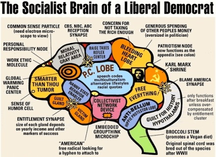 the-socialist-brain-of-a-liberal-democrat