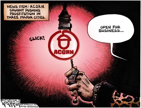 acorn_and_obama