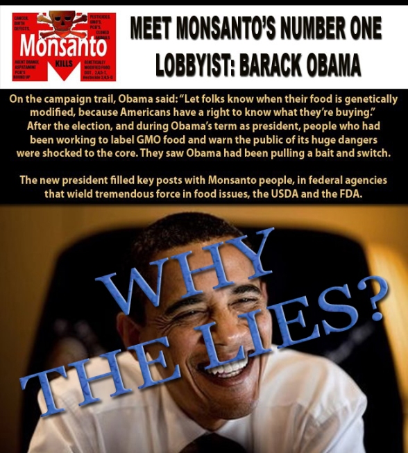 obama lies monsanto